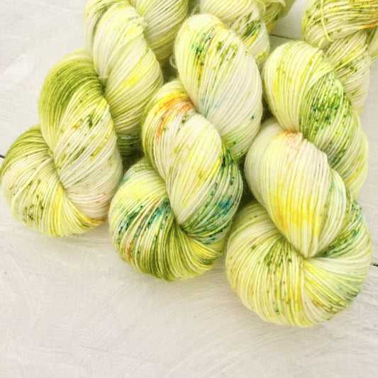 手染め糸 No.189 ソックヤーン「Papillons」