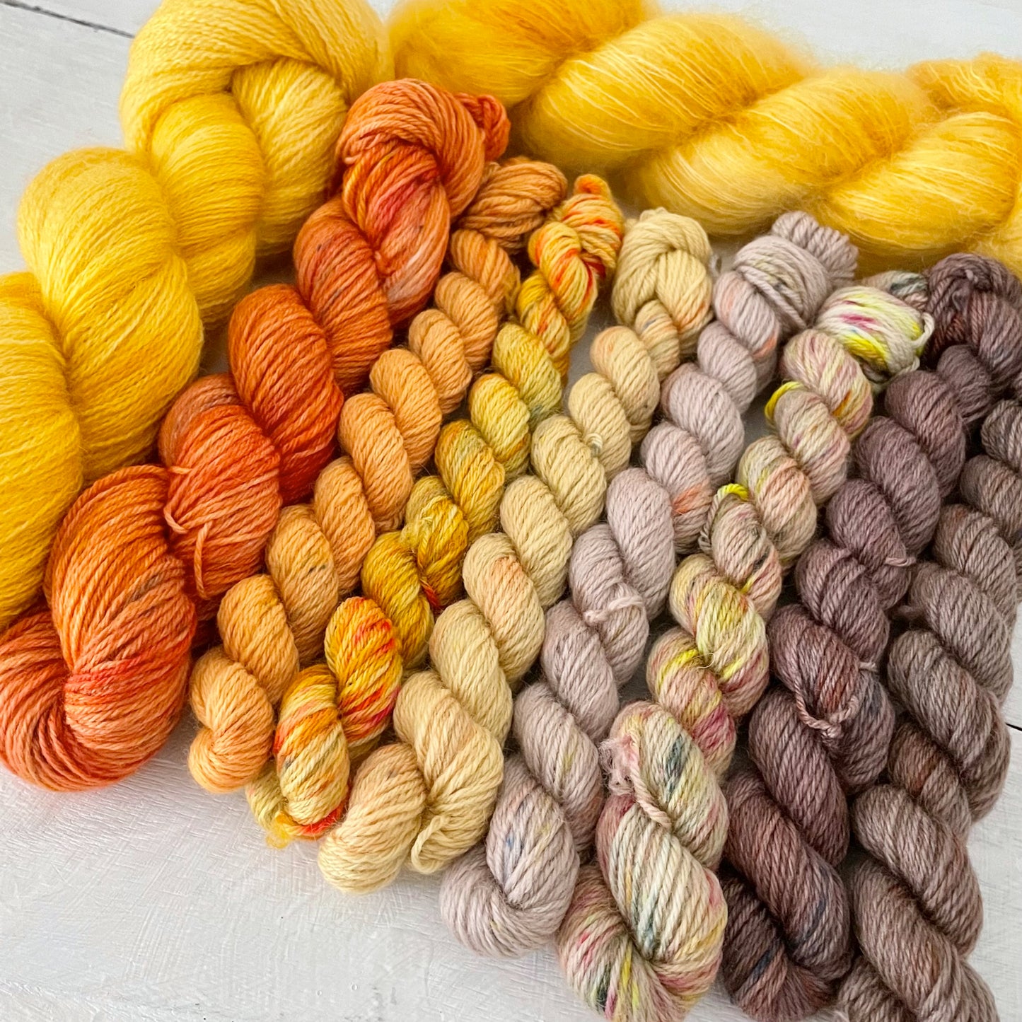 color palette set