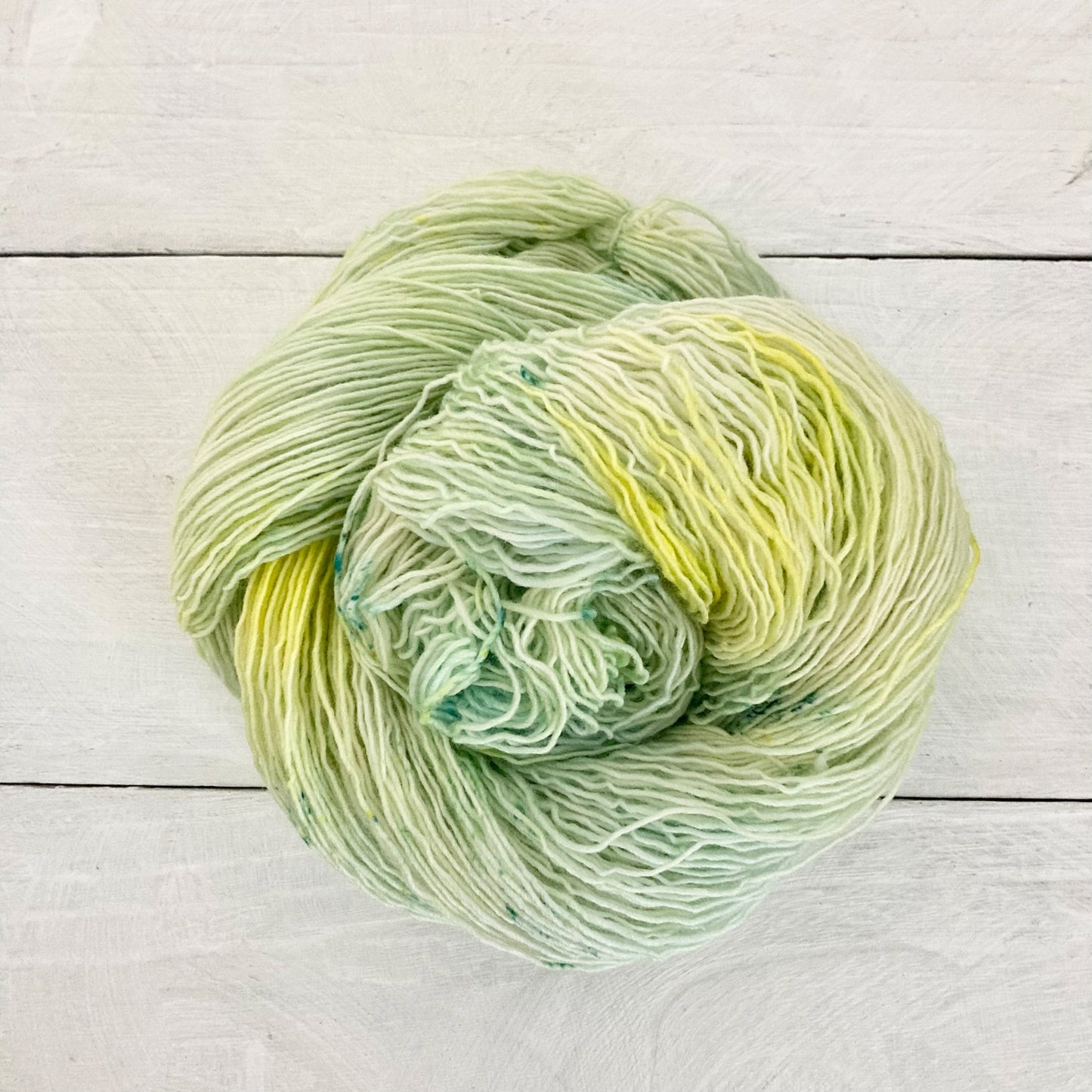 手染め糸 No.200 100% メリノ 1-ply「Auf Flügeln des Gesanges」