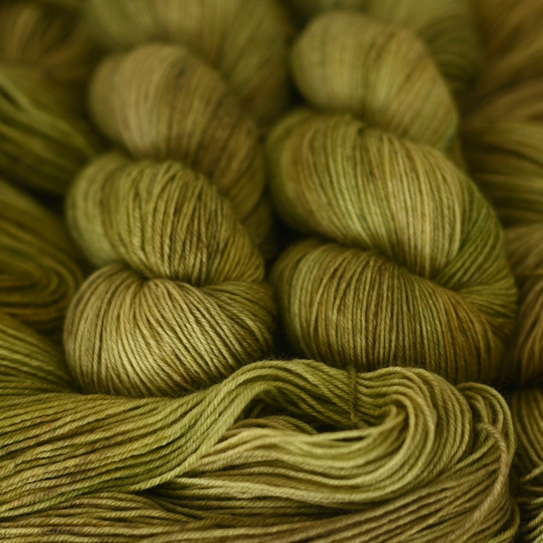 Hand-dyed yarn No.260 4-ply Polwas "Bruyères"