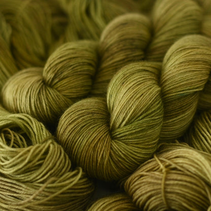 Hand-dyed yarn No.260 4-ply Polwas "Bruyères"