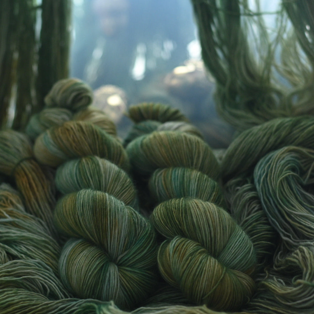 手染め糸 No.419 メリノ1-ply「Queramus Cum Pastoribus」