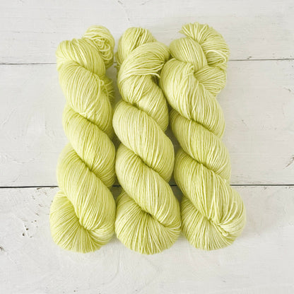 ソリッドコレクション  No.5　Gavotte