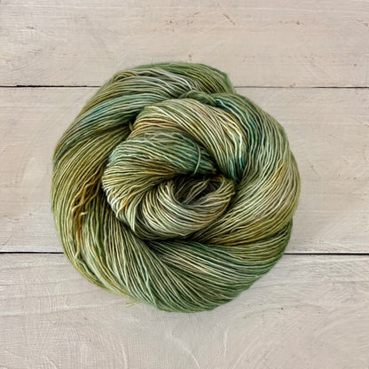 手染め糸 No.419 メリノ1-ply「Queramus Cum Pastoribus」