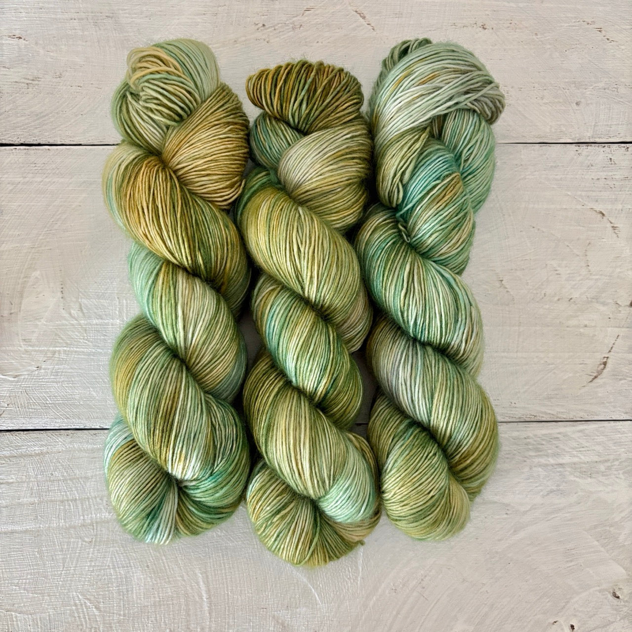 手染め糸 No.419 メリノ1-ply「Queramus Cum Pastoribus」