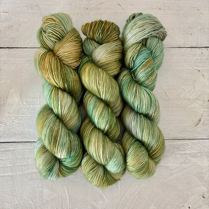 手染め糸 No.419 メリノ1-ply「Queramus Cum Pastoribus」