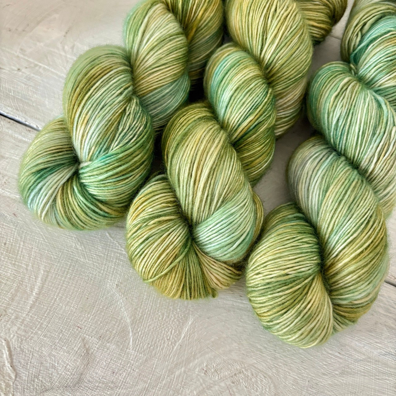 手染め糸 No.419 メリノ1-ply「Queramus Cum Pastoribus」