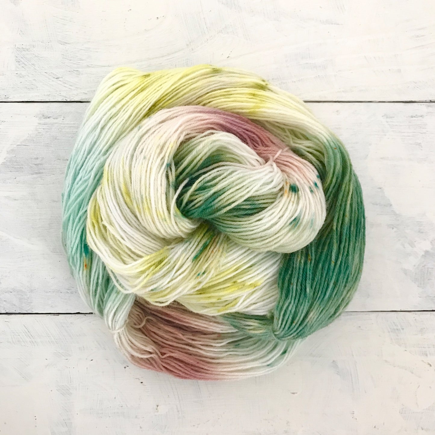 Hand-dyed yarn No.33 sock yarn “Une forêt de sapins en hiver”